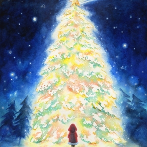 流れ星のクリスマスツリー The Shooting star on christmas tree