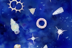 放散虫座 Constellation of radiolarias