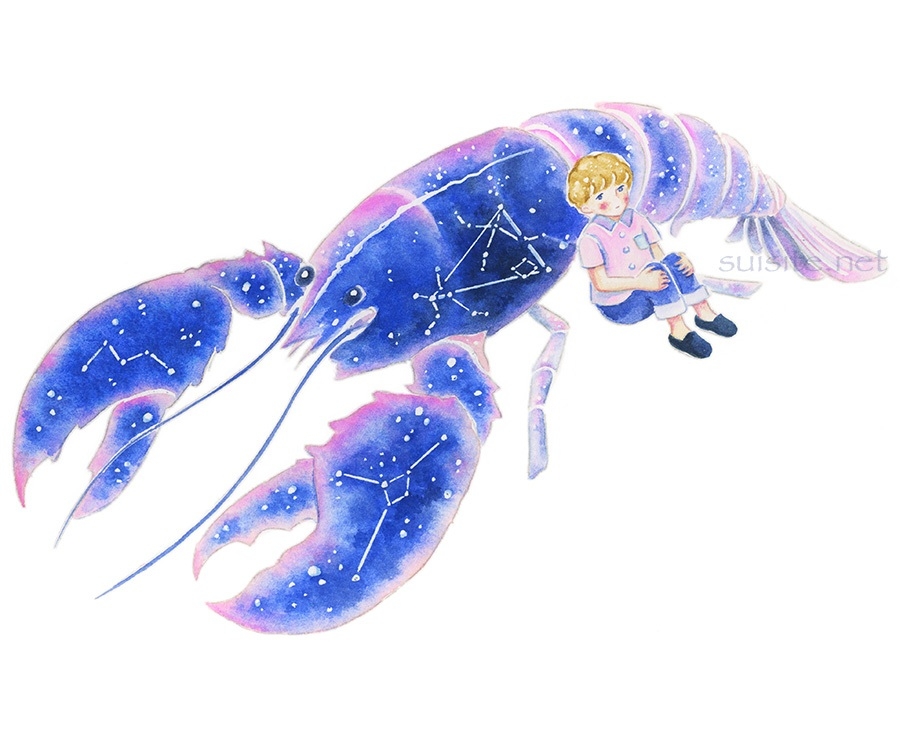 青いザリガニ Blue crayfish
